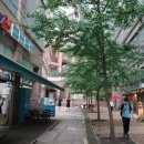 GS25동탄골드점 이미지