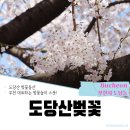 CU부천도당중앙점 | 부천도당산벚꽃동산 | 부천 벚꽃여행! 필수벚꽂 여행지(부천천문과학관)