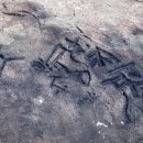 금산-14 이미지