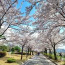 남통동 족구장 이미지