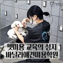 바닐라애견미용학원 이미지