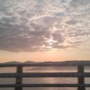 하능깃털 이미지