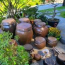 강서푸른터 이미지