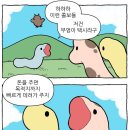 노란부엉이
