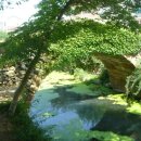 그루터기 이미지