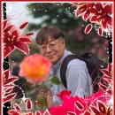 우산 이미지