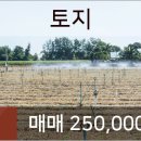 연원필치과의원 이미지