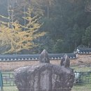 이양역 | 사자산 화순 쌍봉사