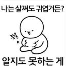 사이쵸 이미지