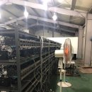 피씨카페비트 이미지