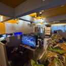 나니아 플스방 | 나니아플스방/데이트코스 추천/홍대 플스방