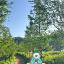 붕어섬 식당 | 임실-남원 1박2일 여행기🧳 붕어섬생태공원