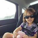 무릉도원면-45 이미지