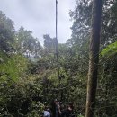 단식농장 이미지