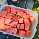 승촌보캠핑장 이미지