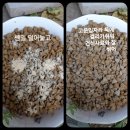 펫 가디언 이미지