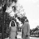 스냅치즈 이미지