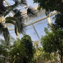 레인보우힐링관광지 | 🌈 충북 영동 아이랑 가볼만한 곳 찾는다면? 레인보우 힐링 관광지 솔직 후기!