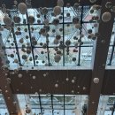 신라스테이 서부산 | 부산 서부 소소한 호캉스를 위해,신라스테이 서부산 방문 후기🤍