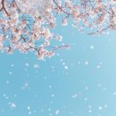 서울특별시립평화로운집 이미지