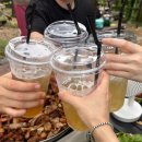 제부로 R 이미지