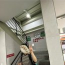 강남대로37길 23 (1) 이미지