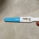 유한회사 소룡중기자동차 | 임신 확인 / 강남구 임산부 등록, 임신 초기 증상