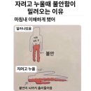 10월(Oct) 이미지