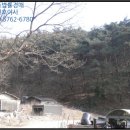 포항시북구43 이미지