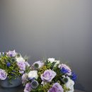 플레르 아델(Fleurs Adele)