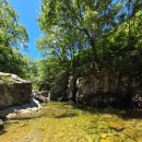 미쎄스왕돈까스앤드분식 이미지