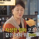 젬뱅이 이미지