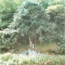 동지공 사당(同知公 祠堂) | 강성 서원