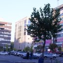 라페스타 이미지