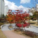 청계중앙공원 2 이미지