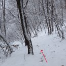 노루목축산 티스토리