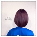 블로비헤어 - 홍성군 내포신도시 | 블로비헤어
