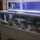 병포해물촌 이미지