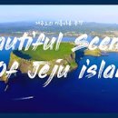 아름다운풍경 이미지