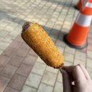 수다떠는오징어형제수산