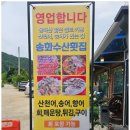송화 수산횟집에서 송어와 함께하는 화천 맛집 특별한 시간