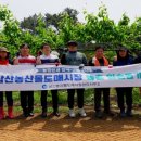 삼산농산물도매시장 이미지