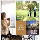 동탄타운하우스공인중개사사무소 이미지