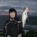 씨알소프트 이미지