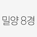 대숲사이로 흐르는 울림이 있는 가을음악회 | 밀양 8경, 당신이 놓치지 말아야 할 이유