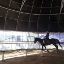 퀸즈승마장 네이버블로그