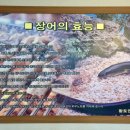 혜성풍천장어