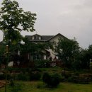 장세덕 Daum카페