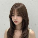 업성수변로 네이버블로그