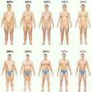 신곡 점핑다이어트